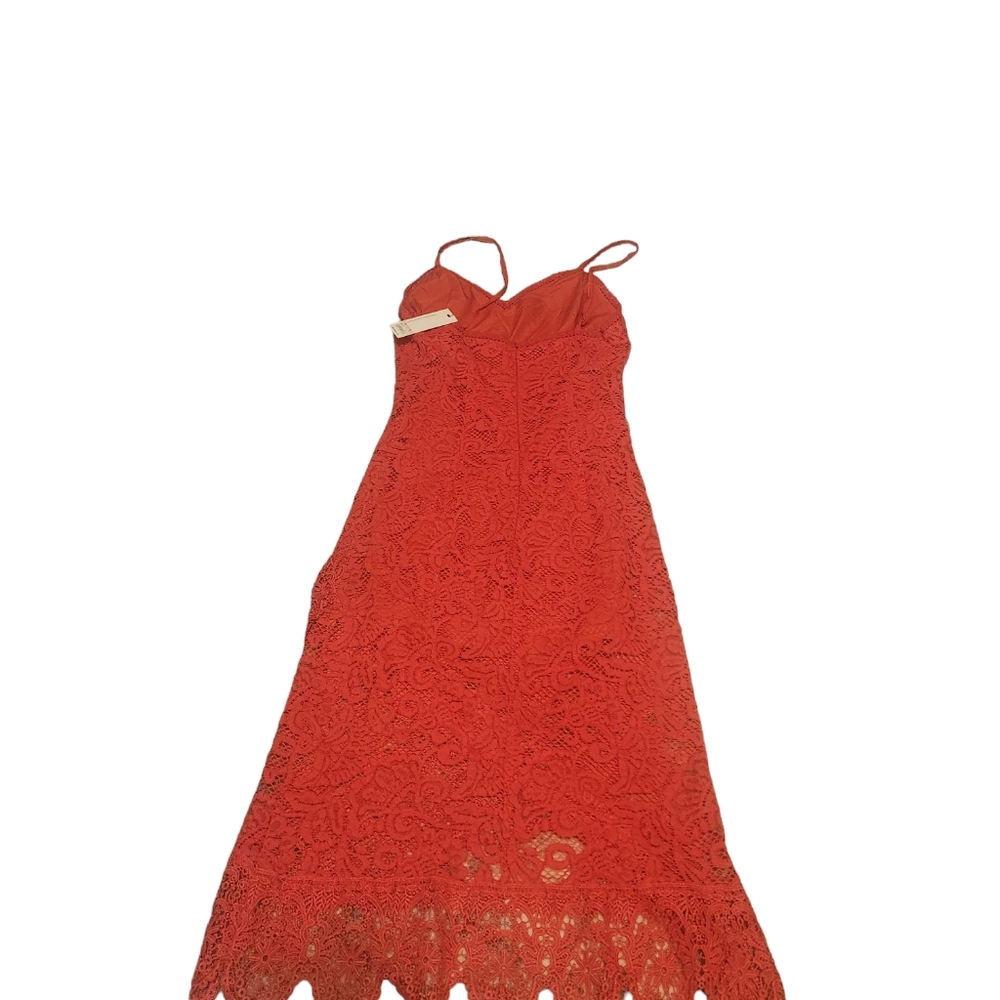 BB Dakota Rsvp Rylee Lace Bodycon Dress - Picture 3 of 7